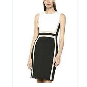 Calvin Klein Colorblock Dress